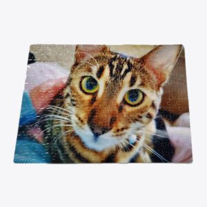 252pc Puzzle